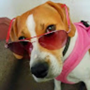 Meet your Posher, Phil